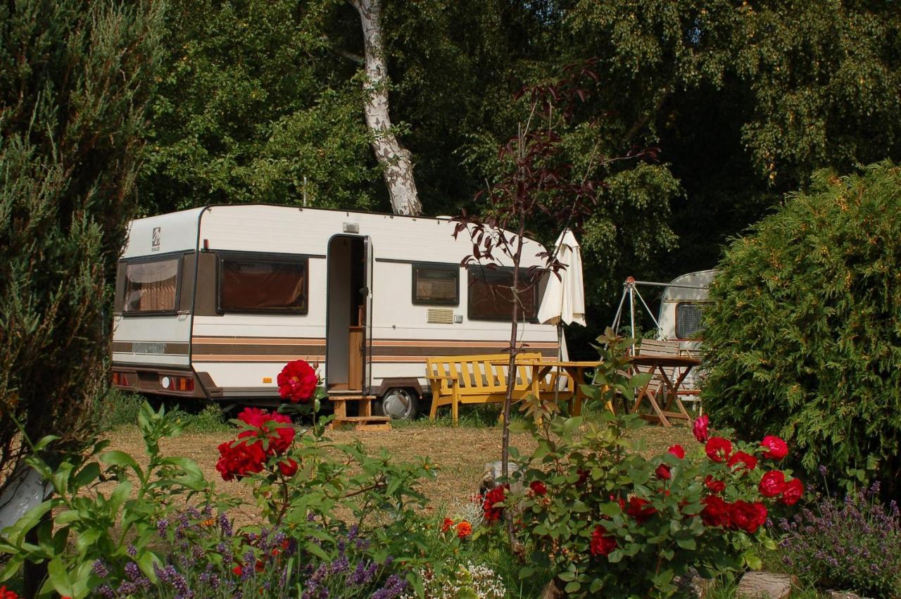 Camping Rogowo Мжежино Екстер'єр фото