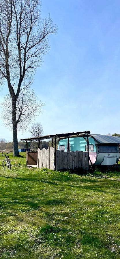 Camping Rogowo Мжежино Екстер'єр фото